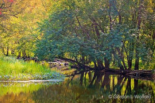 Salmon River_06956.jpg - Autumn is just around the cornerPhotographed near Marmora, Ontario, Canada.